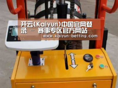 开云体育案例展示三