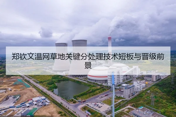 郑钦文温网草地关键分处理技术短板与晋级前景