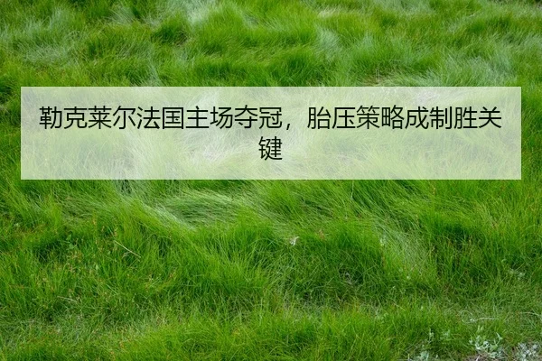 lei-ke-lai-er-fa-guo-zhu-chang-duo-guan-tai-ya-ce-lve-cheng-zhi-sheng-guan-jian-2-163.jpg