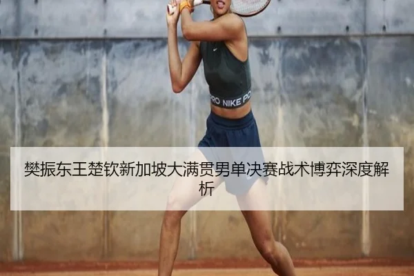 fan-zhen-dong-wang-chu-qin-xin-jia-po-da-man-guan-nan-dan-jue-sai-zhan-shu-bo-yi-shen-du-jie-xi-3-337.jpg