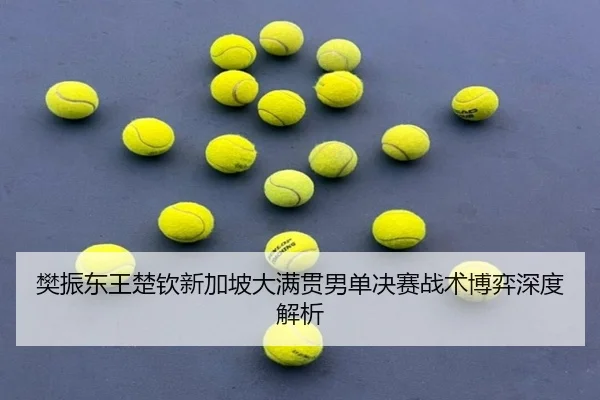 樊振东王楚钦新加坡大满贯男单决赛战术博弈深度解析