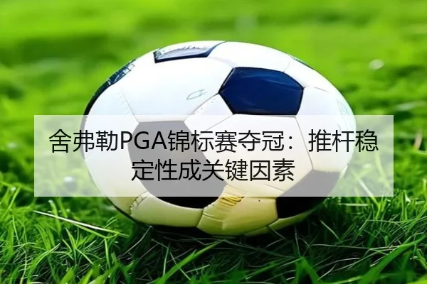 舍弗勒PGA锦标赛夺冠：推杆稳定性成关键因素