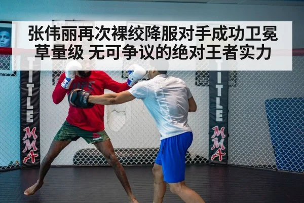 UFC fight